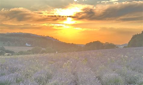 neue bekanntschaften im lipperland